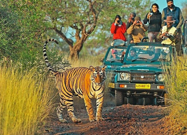 Ranthambore national park jeep safari tiger safari Canter Safari tiger tour  tour Agra tour agra same day taj same day visit jaipur same day jaipur tour.png